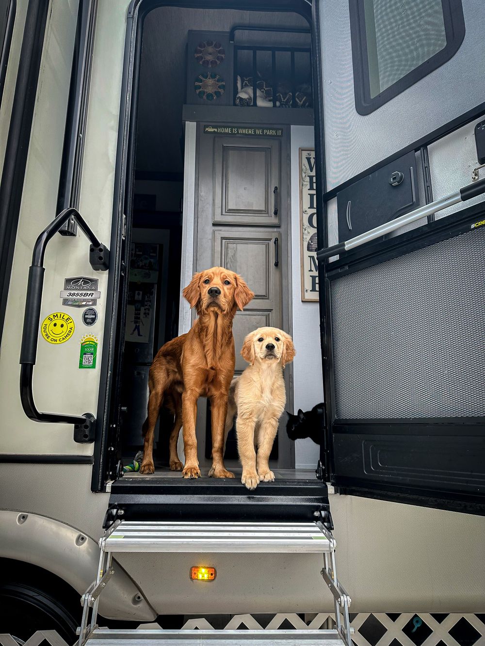 Two golden retriever dogs sitting on RV entry steps outside a beautifully decorated recreational vehicle.