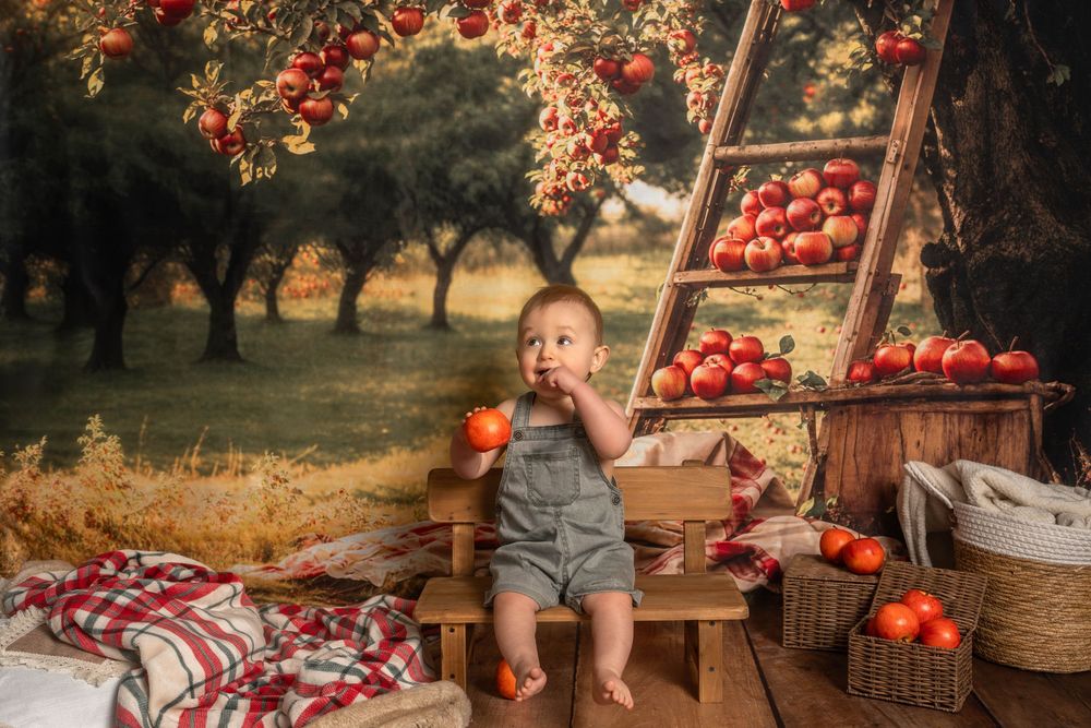 Un petit garçon tient une pomme rouge devant un décor de verger de pommiers.