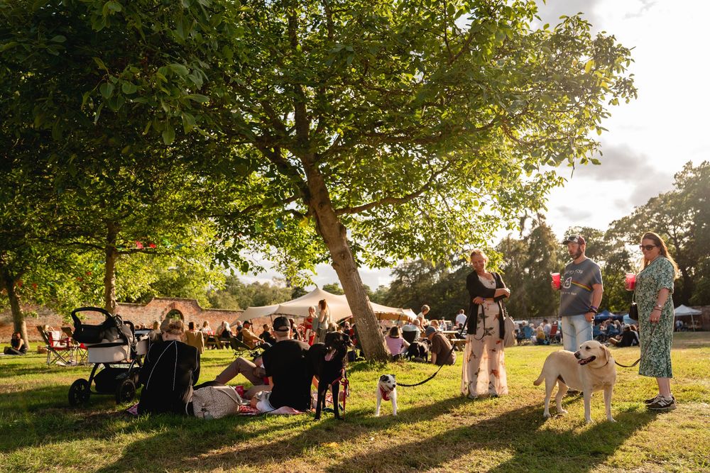 People relaxing with dogs on green grass under trees at an outdoor summer festival event.