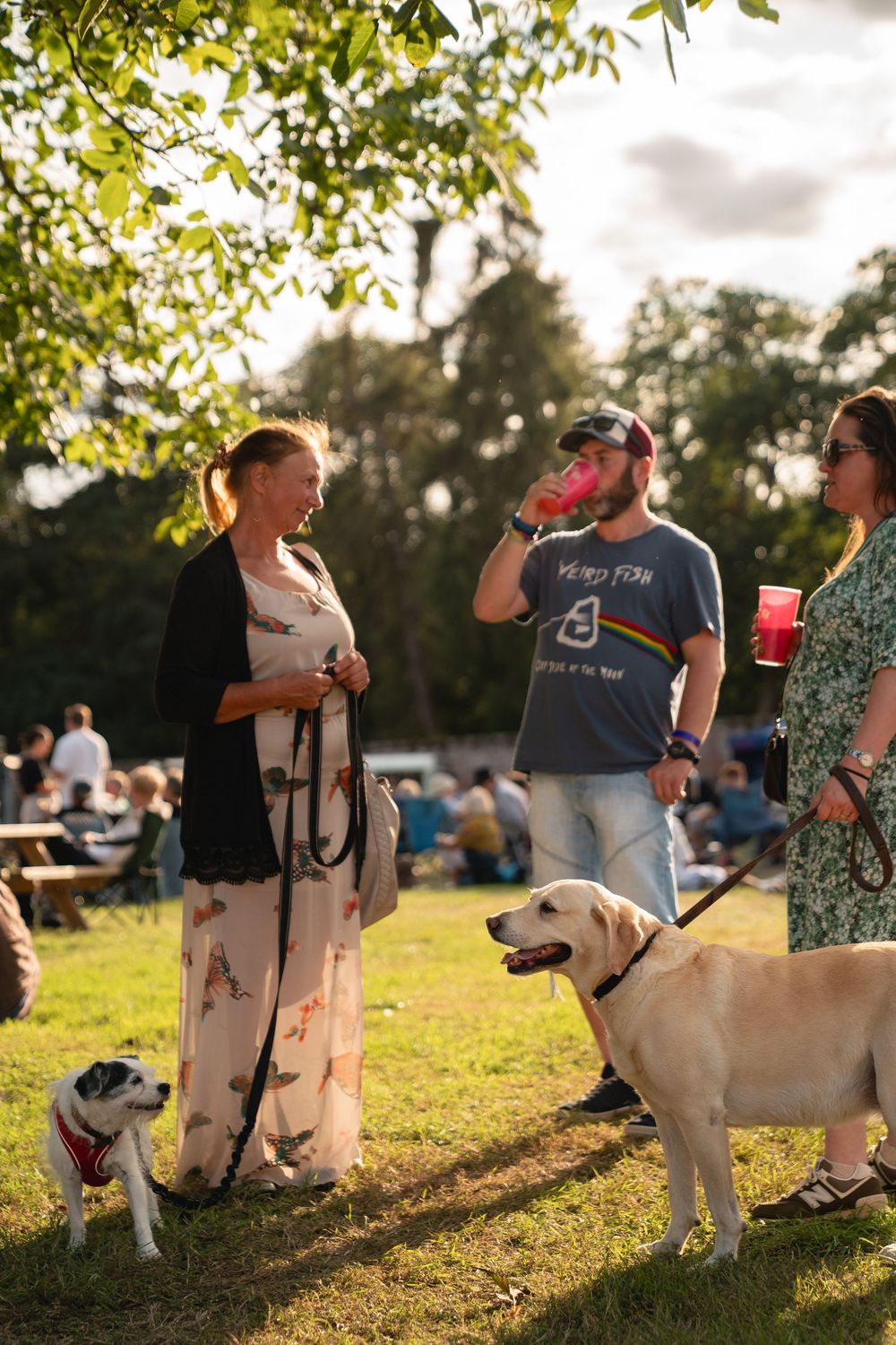 People socializing outdoors with dogs on leashes at a summer festival in a park.