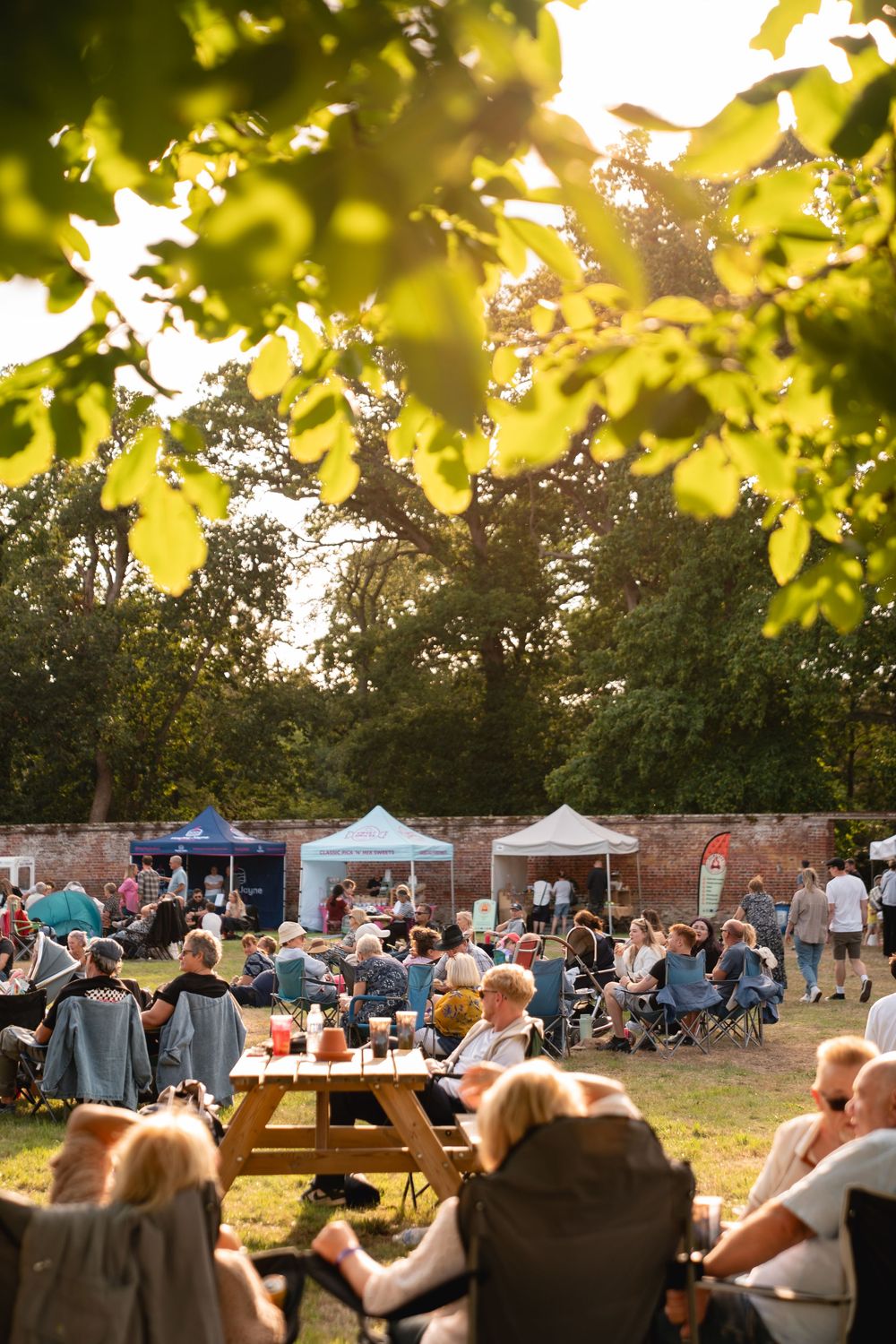 Crowd of people relaxing outdoors at a summer festival under green trees with vendor tents in background.