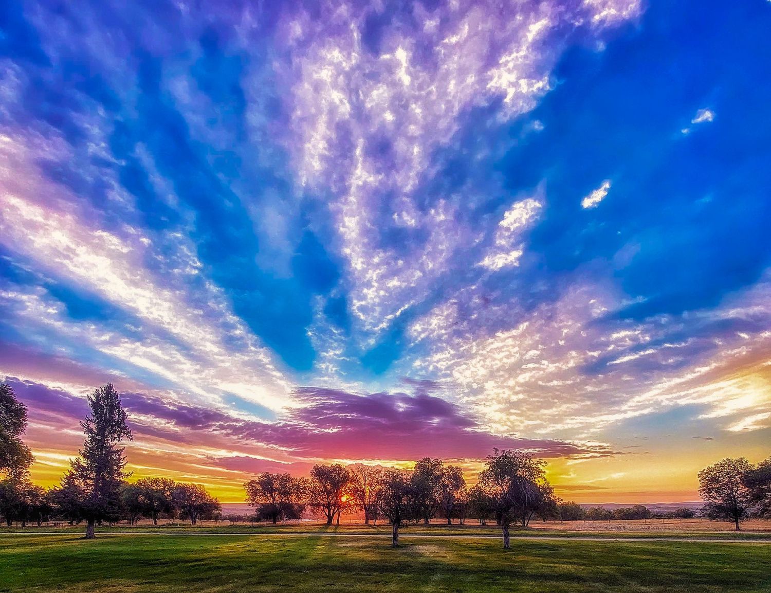 Vibrant sunset sky with colorful clouds over a lush green park with silhouetted trees at dusk.