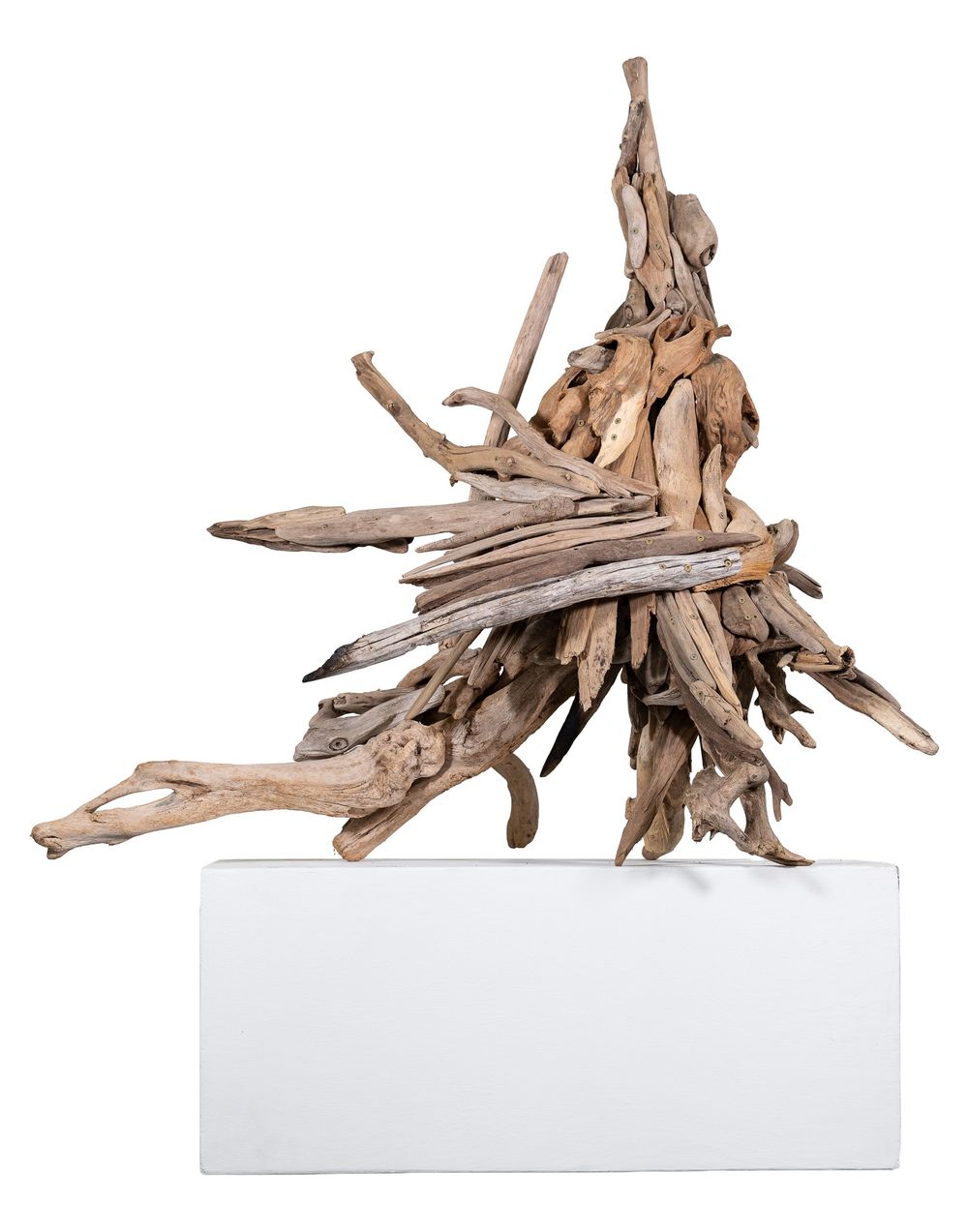 Abstract driftwood sculpture with natural weathered branches arranged dynamically on a white rectangular base.