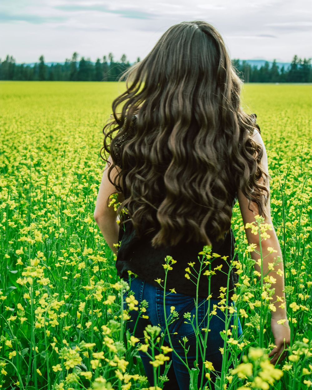 A person in blue jeans stands in a vibrant yellow canola field on a sunny summer day.
