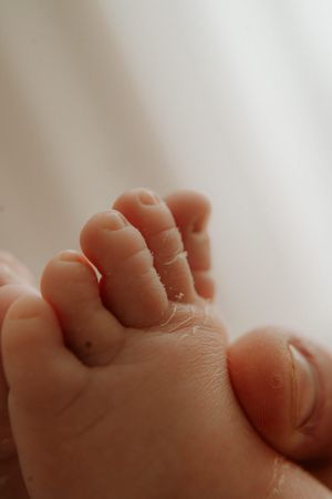 details of babies toes in photography shoot hamilton