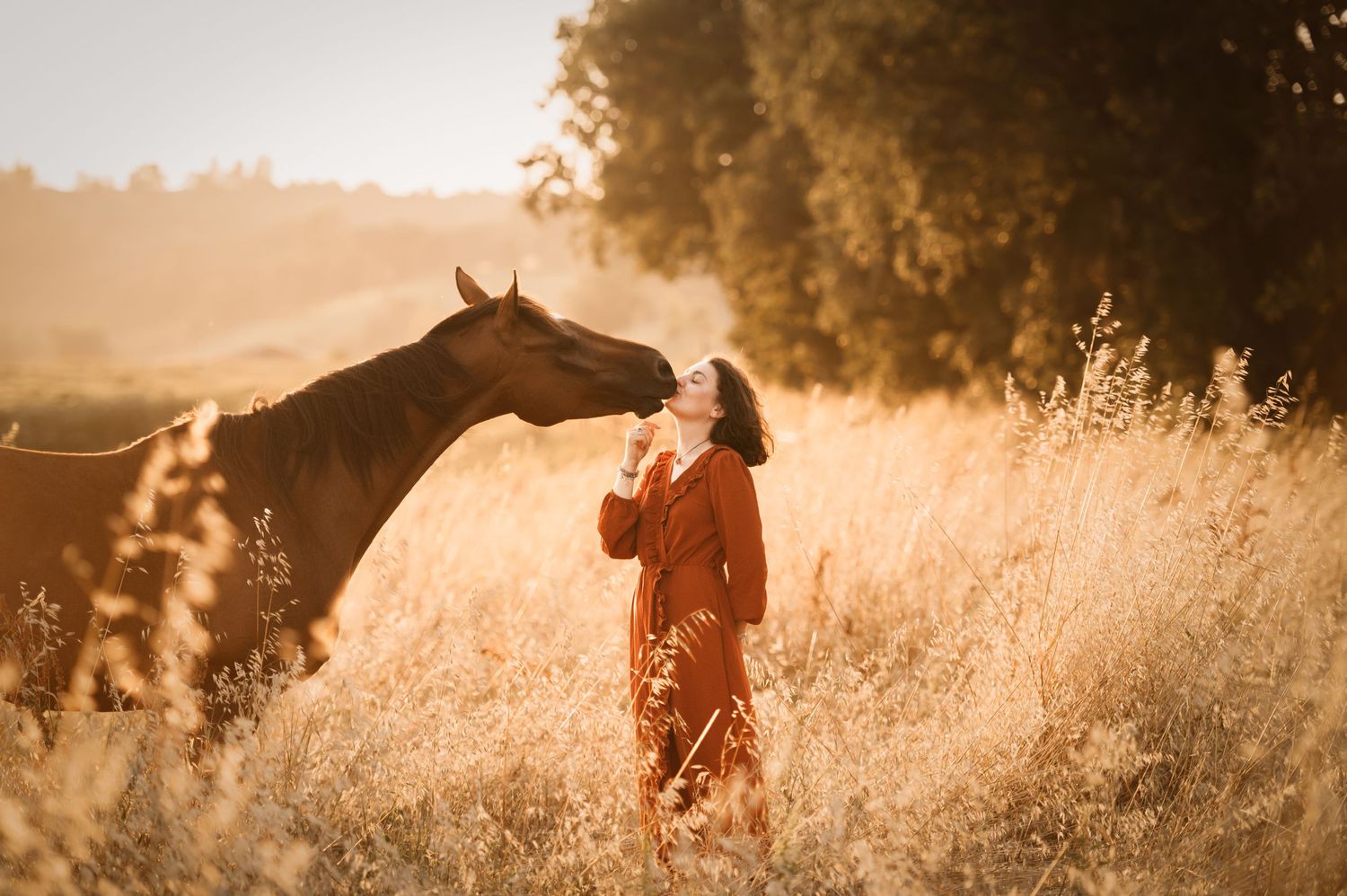 Séance photo équine Occitanie