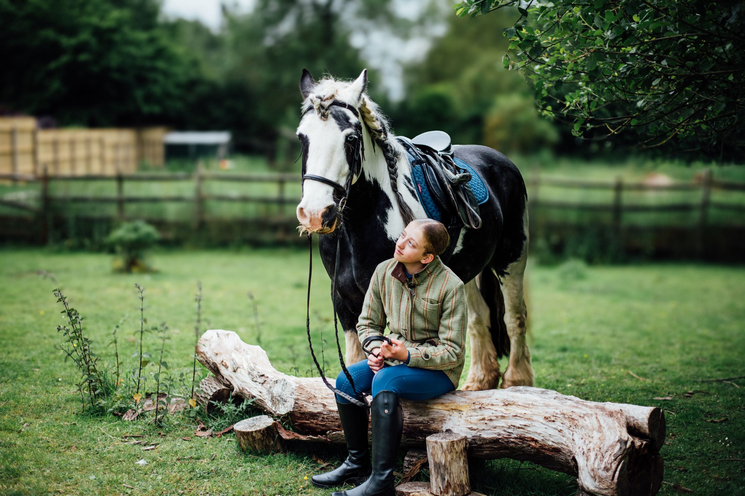 A large black and white horse stands beside someone sitting on rocks in a grassy field.