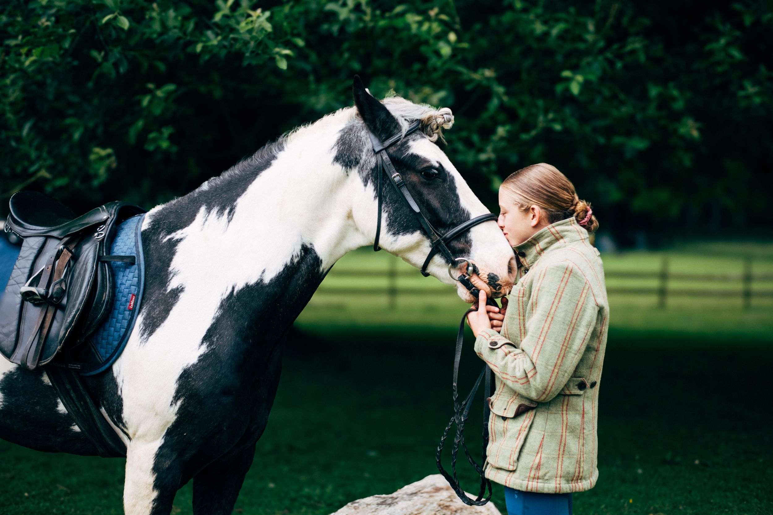 A black and white horse wearing riding tack stands in a green paddock.