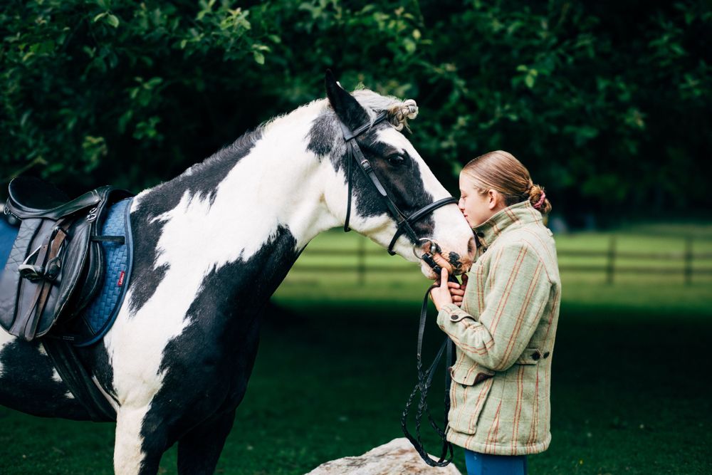 A black and white horse wearing riding tack stands in a green paddock.