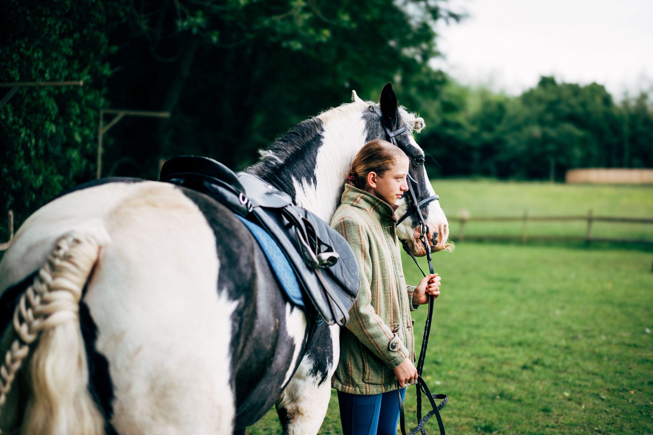 A white horse with riding equipment stands in profile against a green landscape.