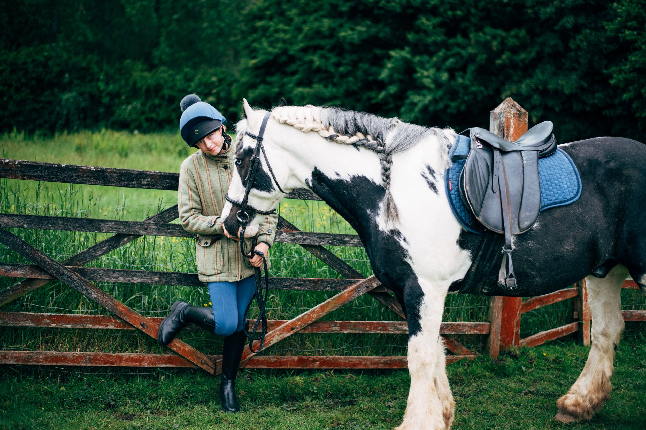 A black and white draft horse stands by a wooden gate in a green field.
