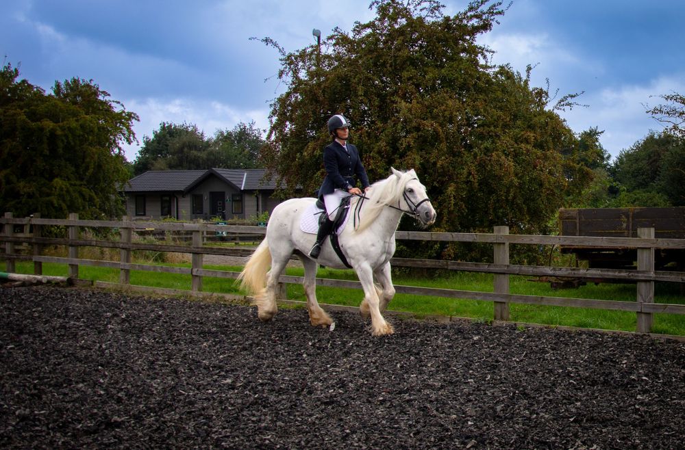A rider in dark attire rides a white horse through a rubber-filled arena beside wooden fencing.