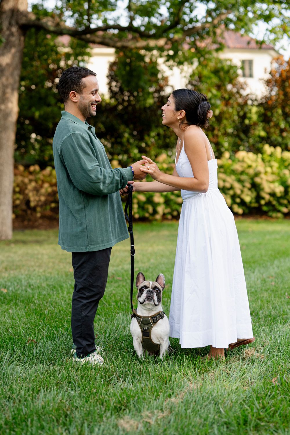 Smiling couple holds hands on green lawn with French Bulldog on leash during outdoor engagement session.