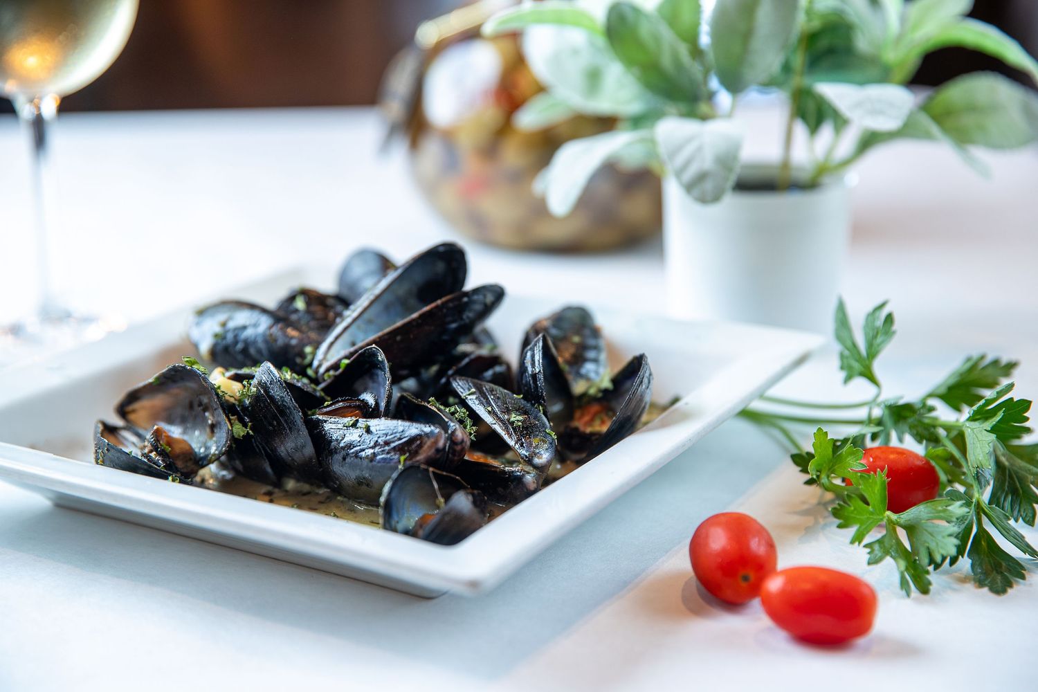 Fresh mussels served on white plates with herbs and cherry tomatoes for garnish.