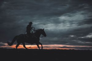 A silhouette of a horse and rider against a dramatic dark cloudy sky at sunset.