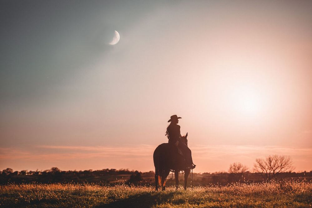 A silhouetted horse and rider stand against a vibrant orange sunset sky with a crescent moon in view.