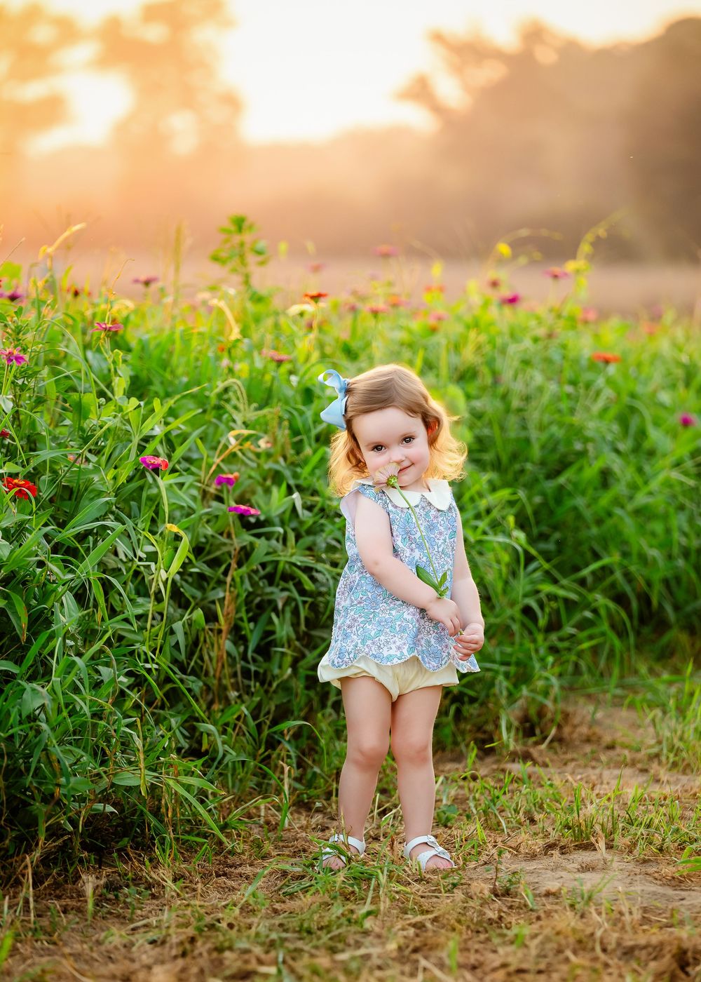 A dreamy sunset scene in a flower garden with lush greenery and colorful blooms creates a magical summer atmosphere.