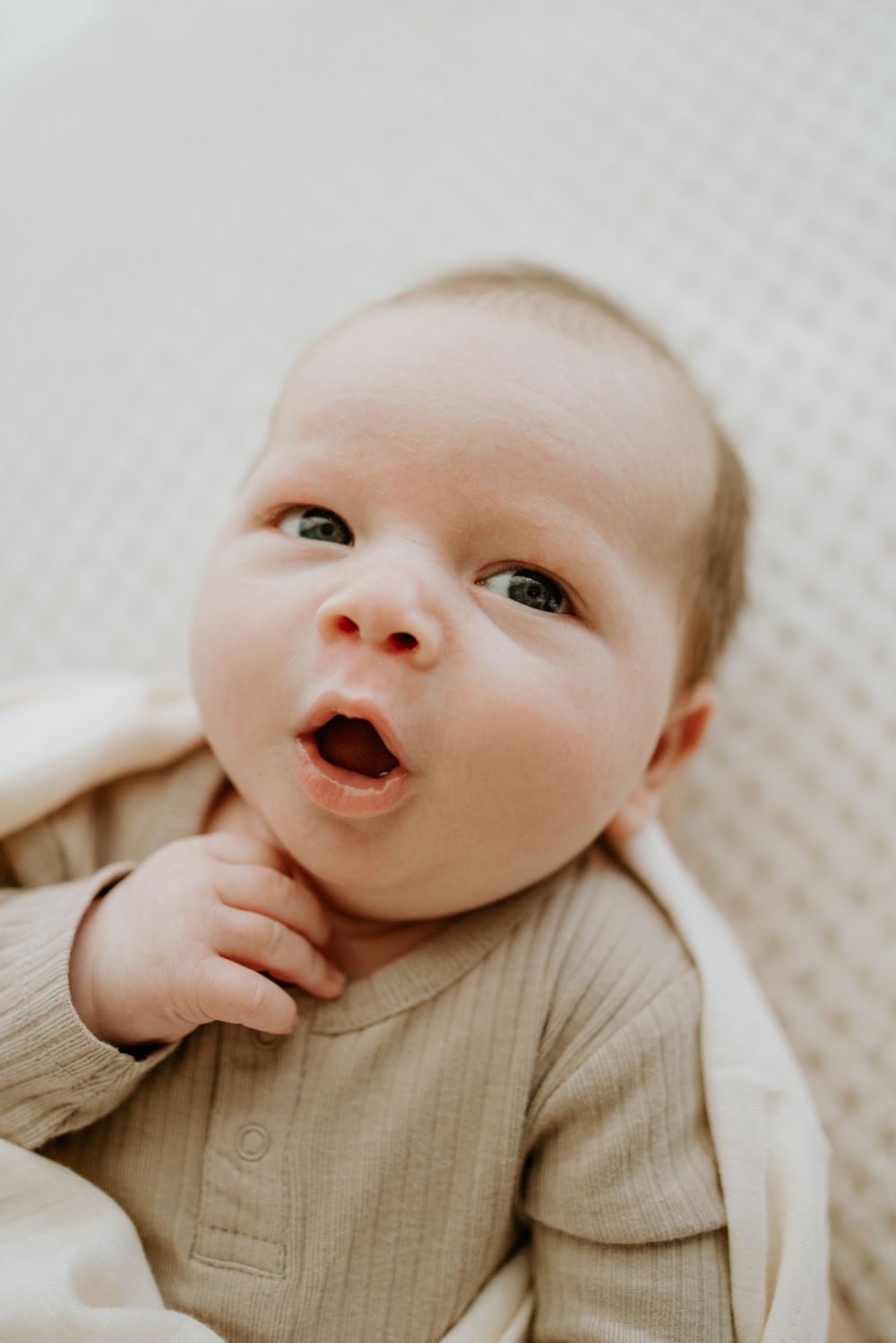 Adelaide newborn photographer - newborn baby boy