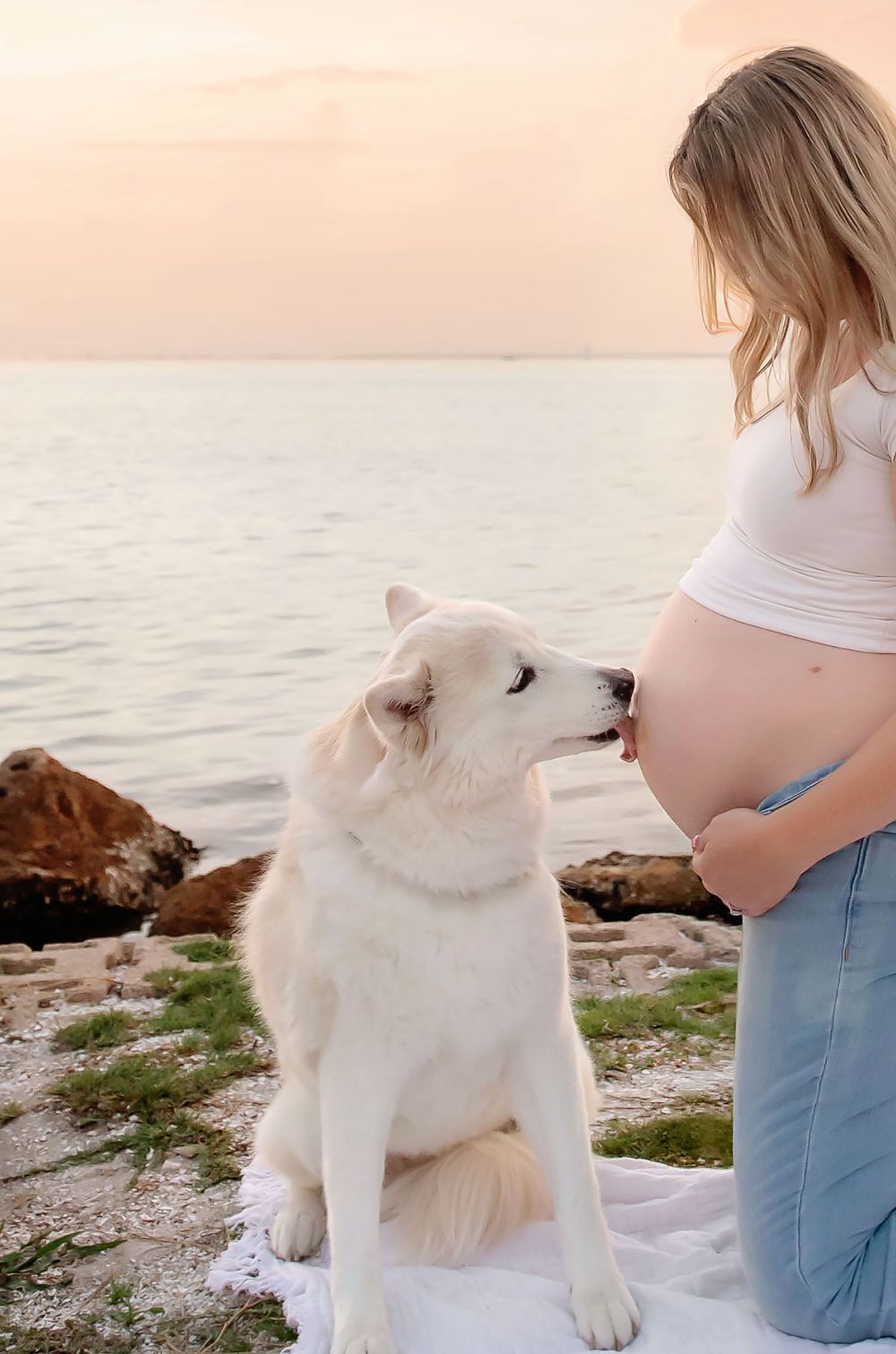 Pregnant woman in white top and jeans stands by ocean at sunset while white dog gently nuzzles her baby bump.