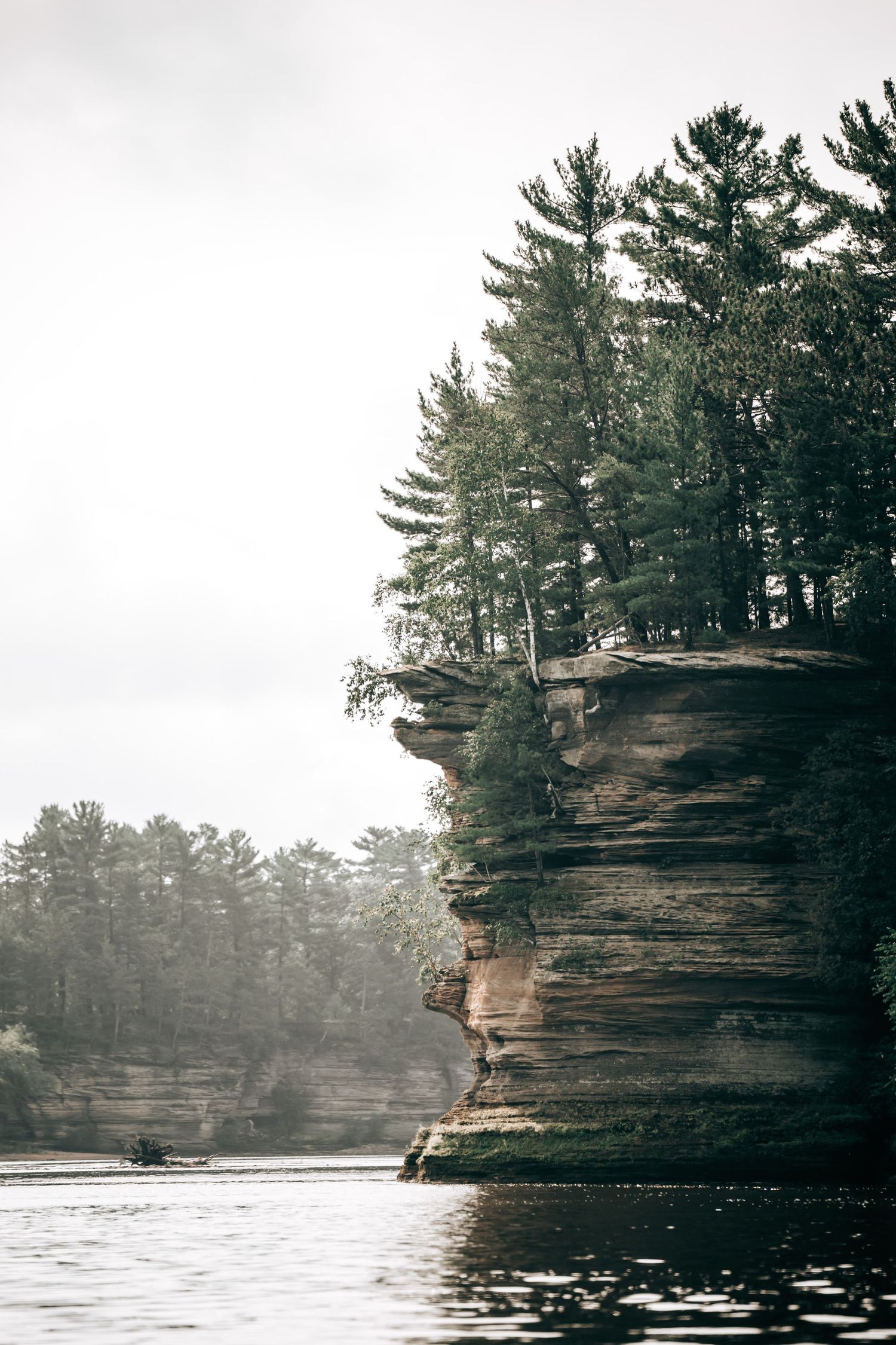 Tall sandstone rock cliff with pine trees overlooking a misty river in a foggy landscape.