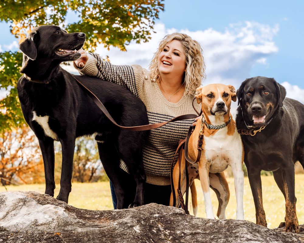 Group of happy dogs posing outdoors together with their owners during autumn photoshoot in nature.