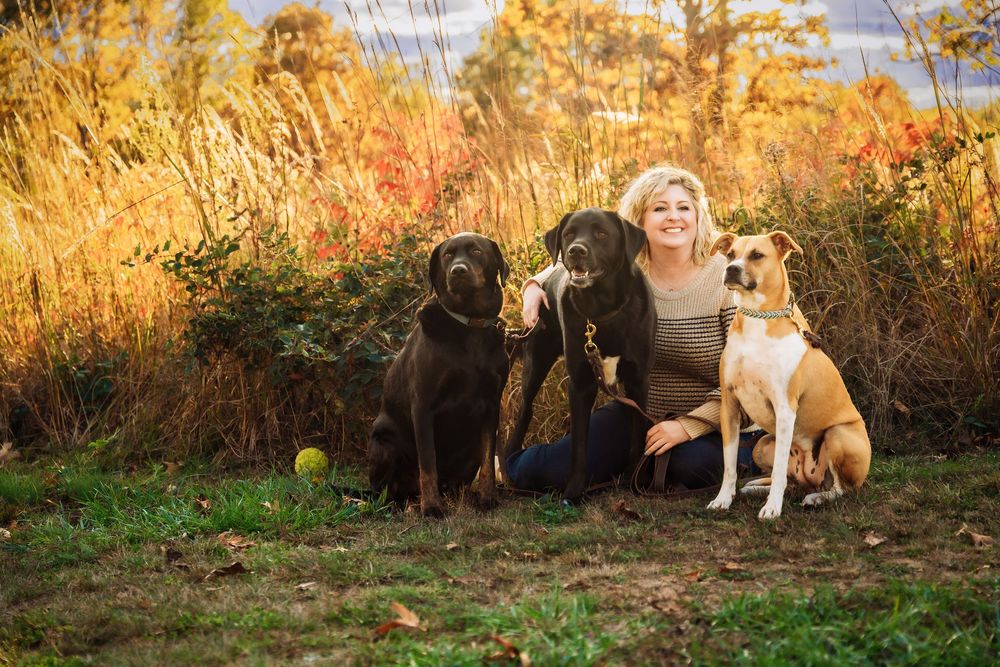 A golden-colored dog sits in front of autumn foliage during a sunset photoshoot.