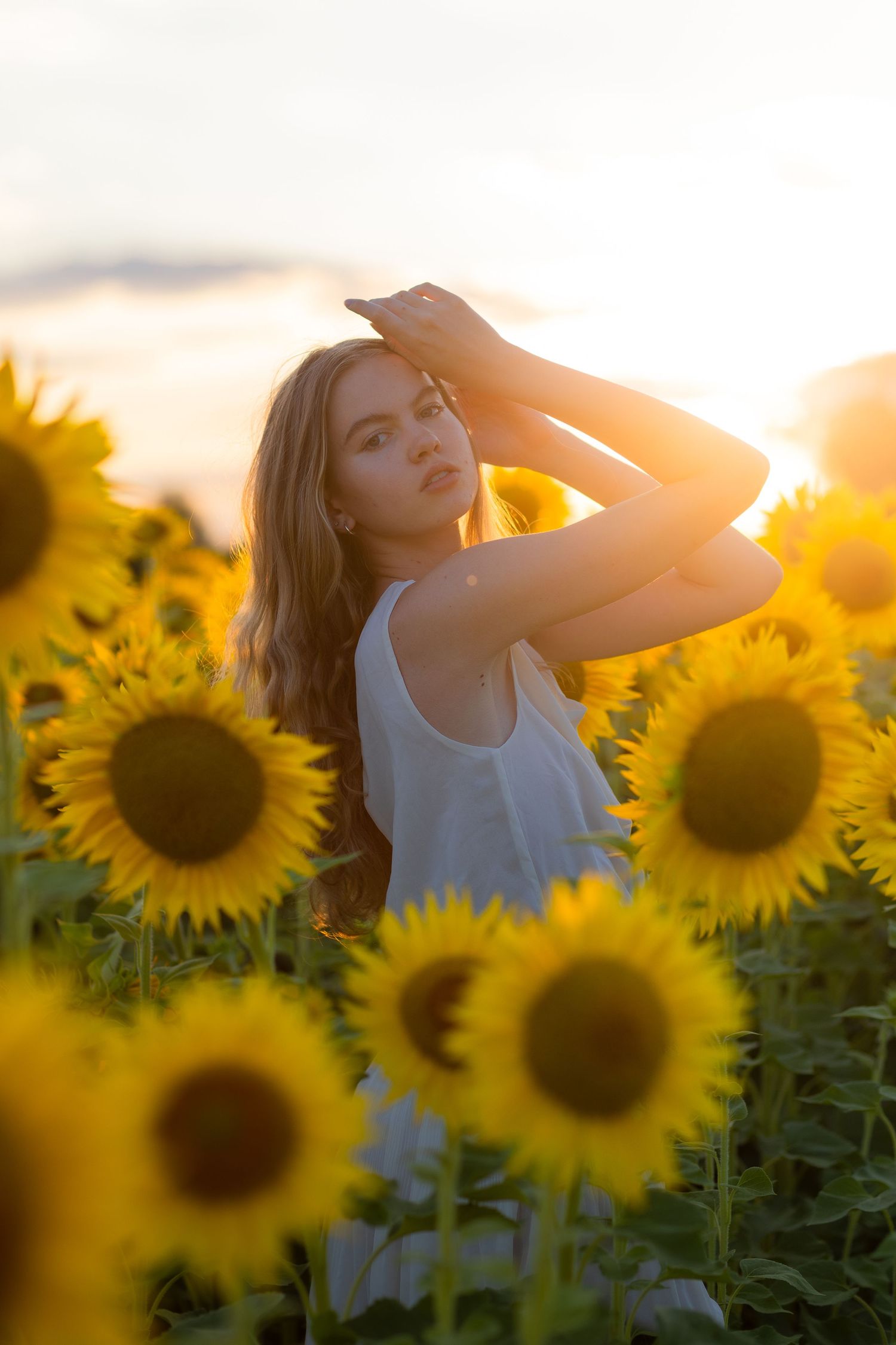 sunflower portrait golden hour