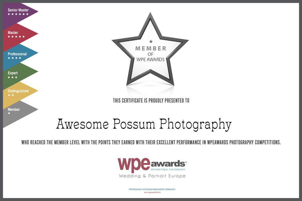 Awsome Possum Photography Wpe Award