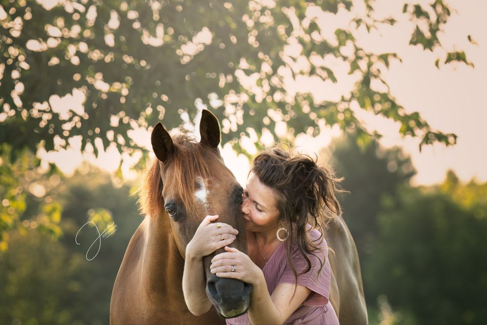 Paardenfotografie België  portret van paard en eigenaar thuis JA Fotografie