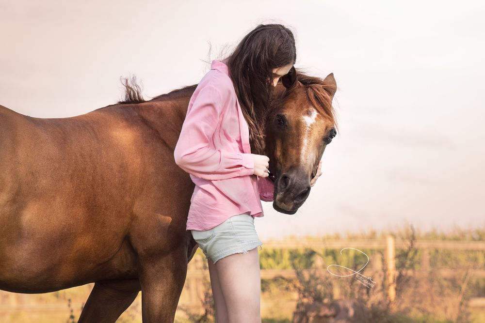 Paardenfotografie België  portret van paard en eigenaar in de weide JA Fotografie