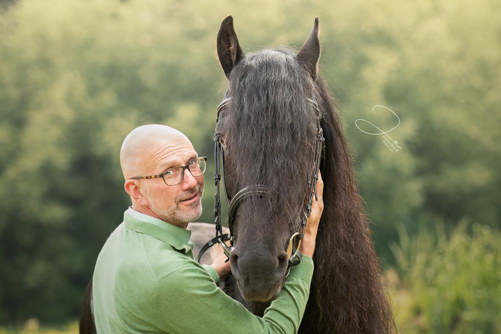 Paardenfotografie België — portret van Fries paard in het bos — JA Fotografie