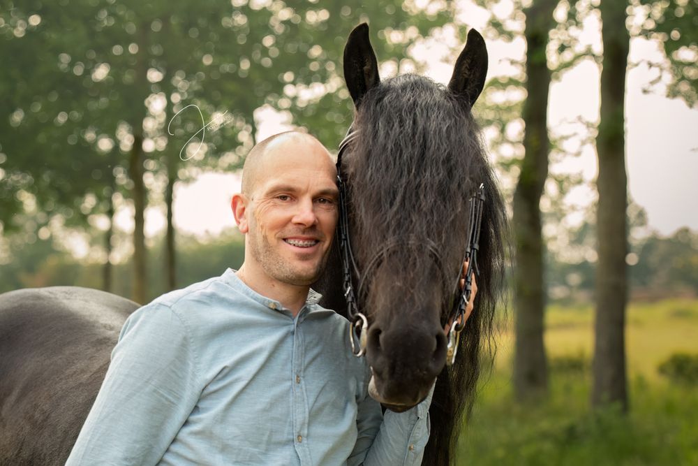 Paardenfotografie België — portret van Fries paard in de natuur — JA Fotografie