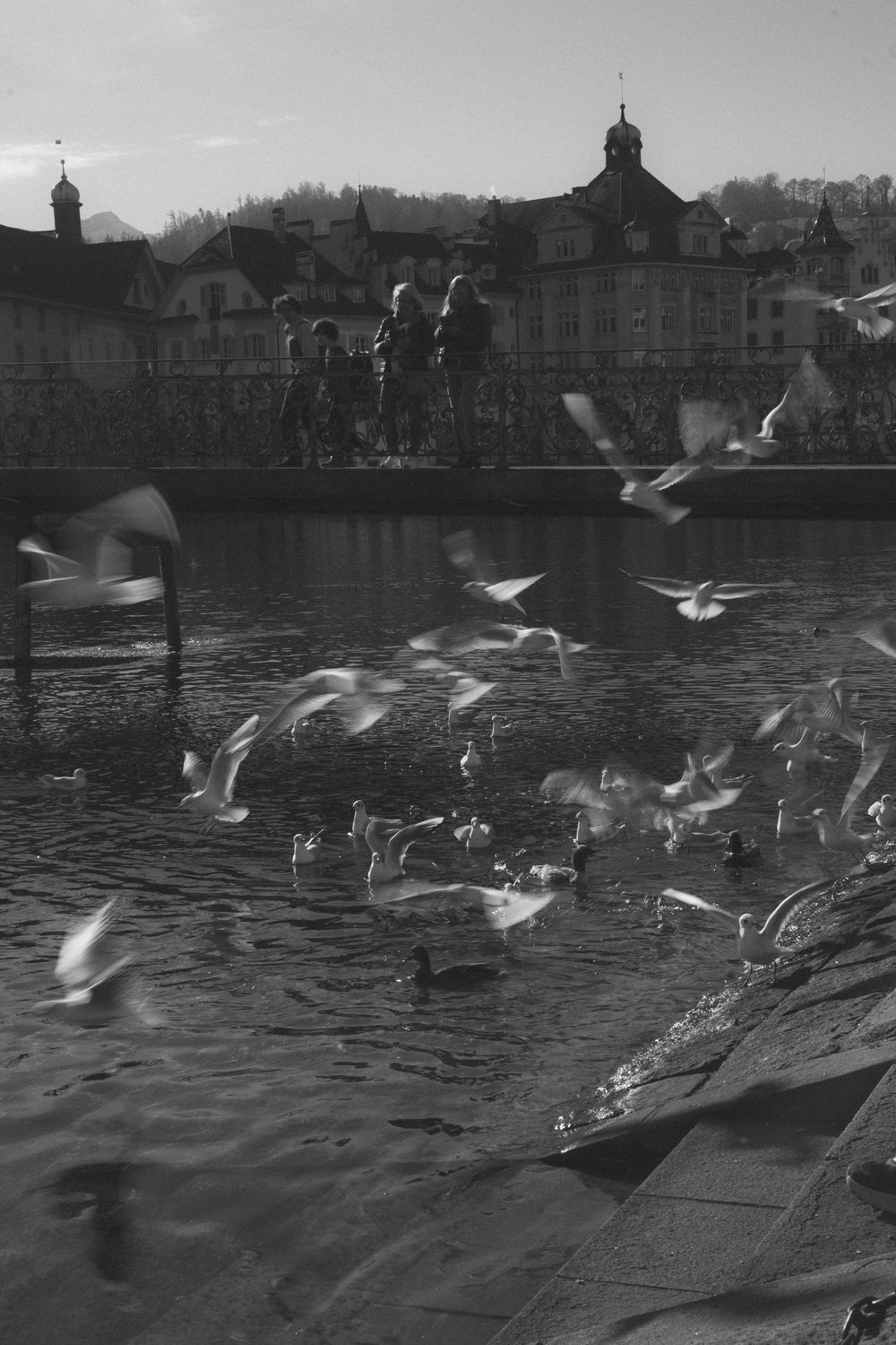 Paris landscape photo