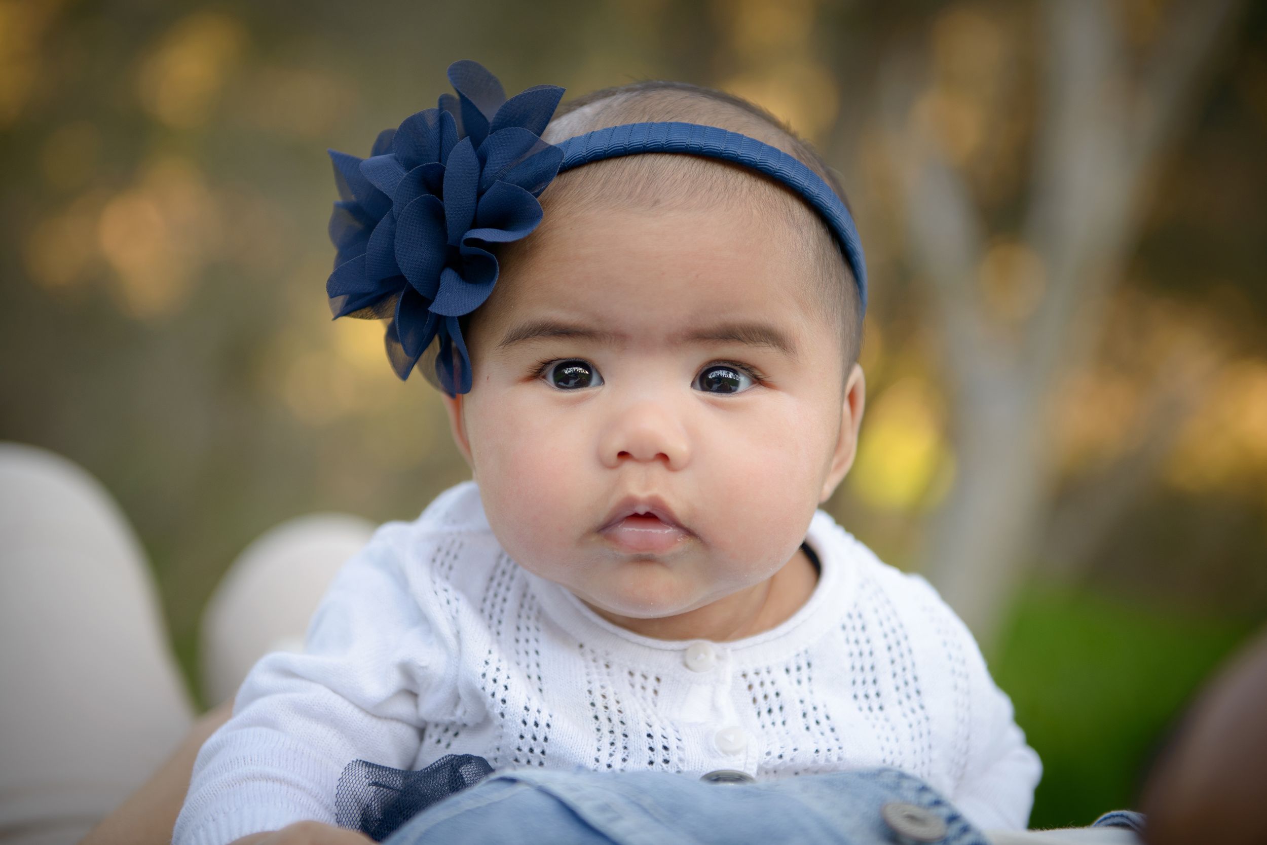 Infant girl with a white dress and blue flower headband - Kelly Chapman Photographer Perth