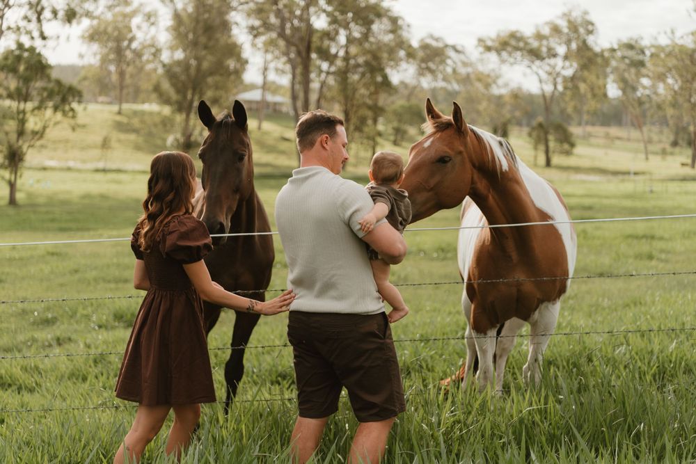 Family with young child interacting with two horses in a lush green paddock during a countryside photo session.