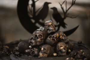 A series of small animal skulls and bones arranged in a row against a dark background. Wedding rings. Halloween Wedding