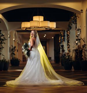 Bride in flowing wedding gown with cathedral veil illuminated by warm lighting.