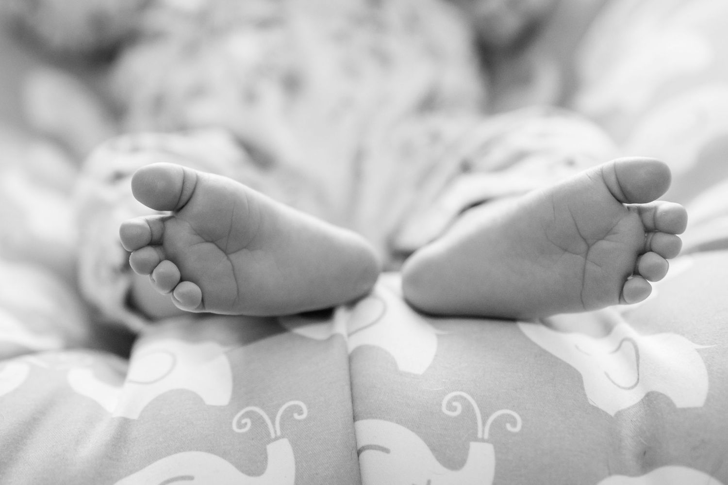 Black and white close-up of baby feet against patterned fabric background.