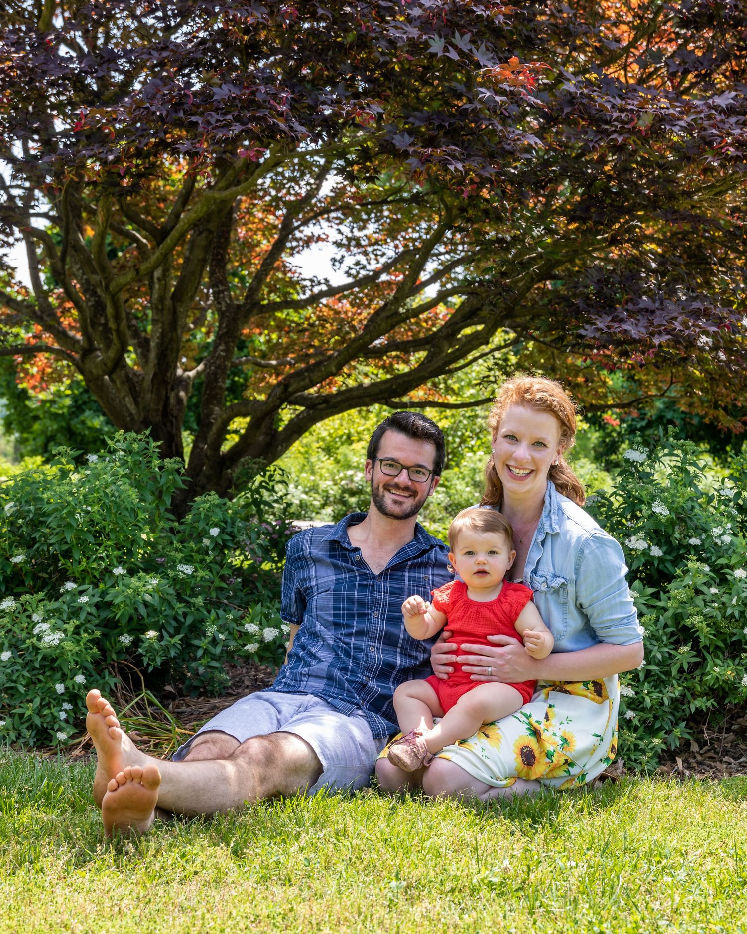 Family relaxing together on grass under purple maple tree in garden setting.