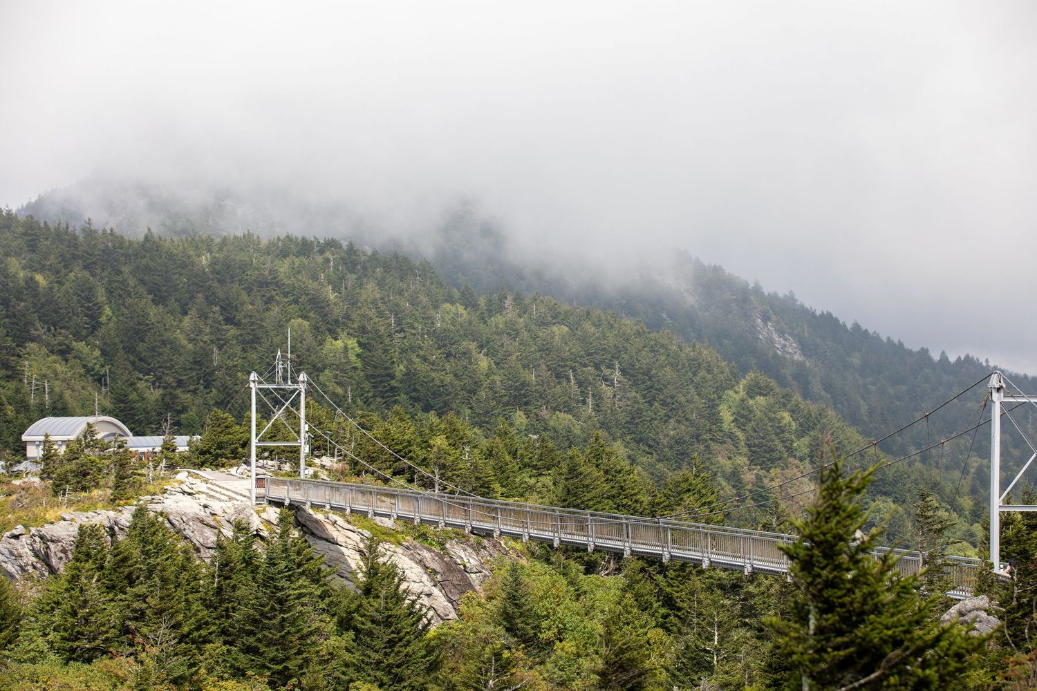 A suspension bridge stretches across a misty mountain landscape surrounded by dense evergreen forests under cloudy skies.