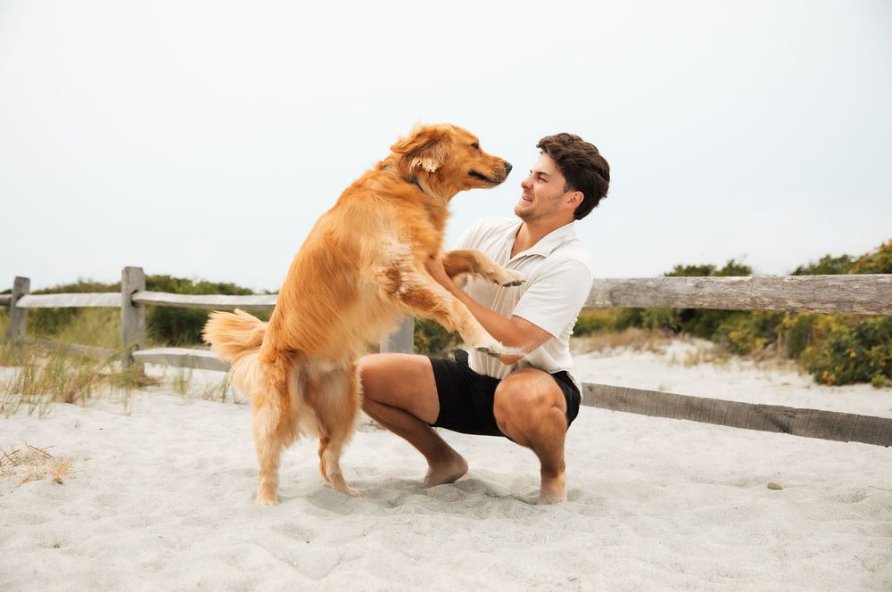 A young man plays with his golden retriever dog on a sandy beach, the dog standing on hind legs. Third Beach Middletown Rhode Island