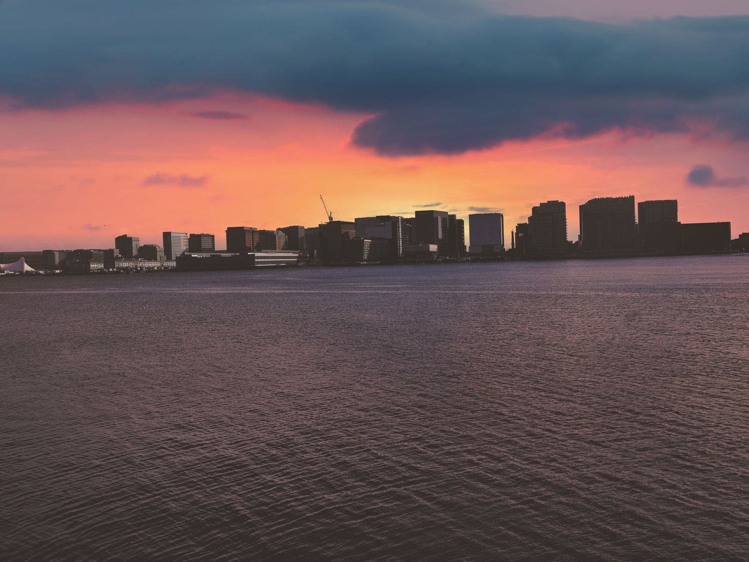 Dramatic pink and purple sunset over calm harbor waters with city skyline silhouette in background.