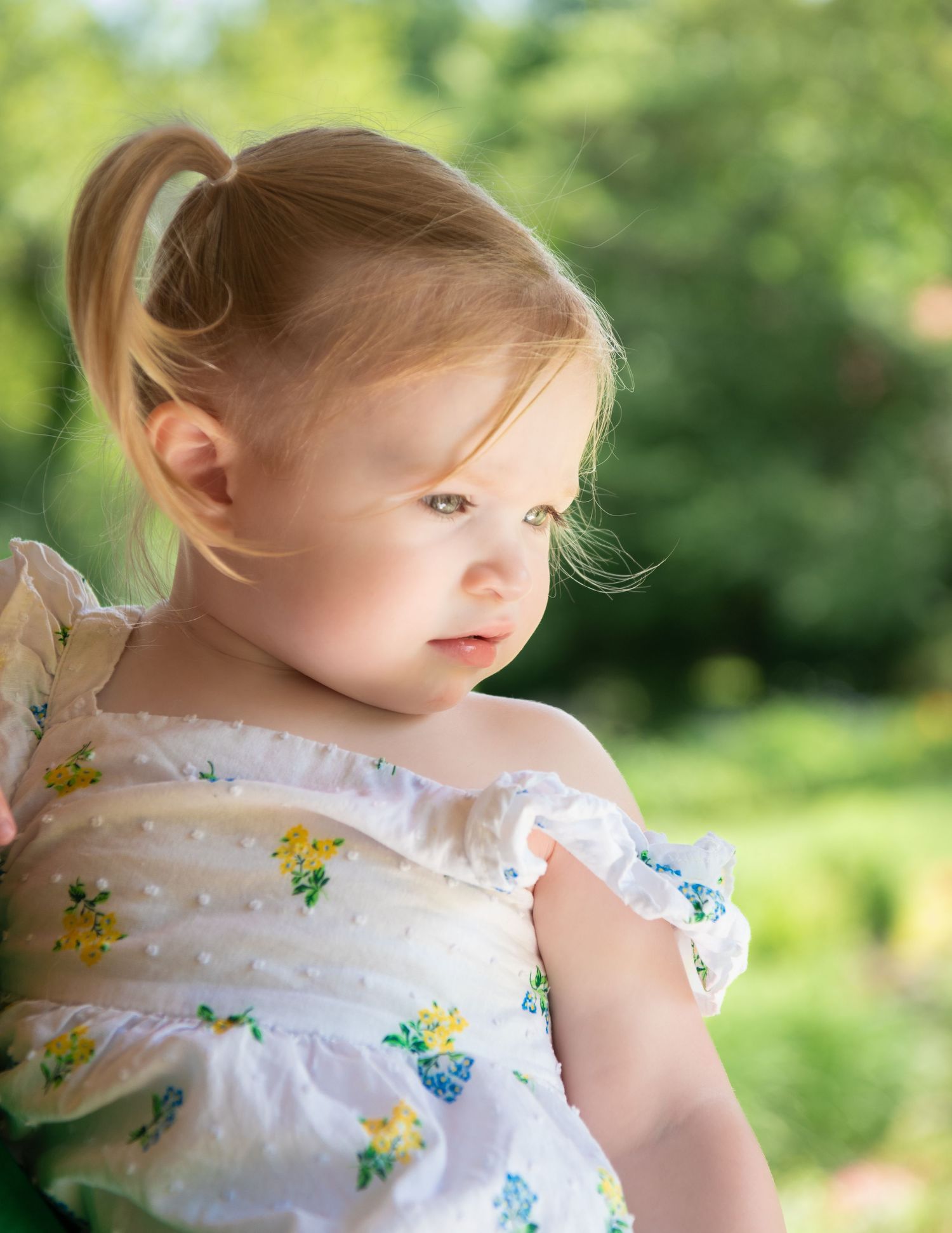 Lifestyle Photographer, Beavercreek Ohio, Fairborn, Huber Heights, Kettering, Centerville, Oakwood, Bellbrook, Tipp, Troy