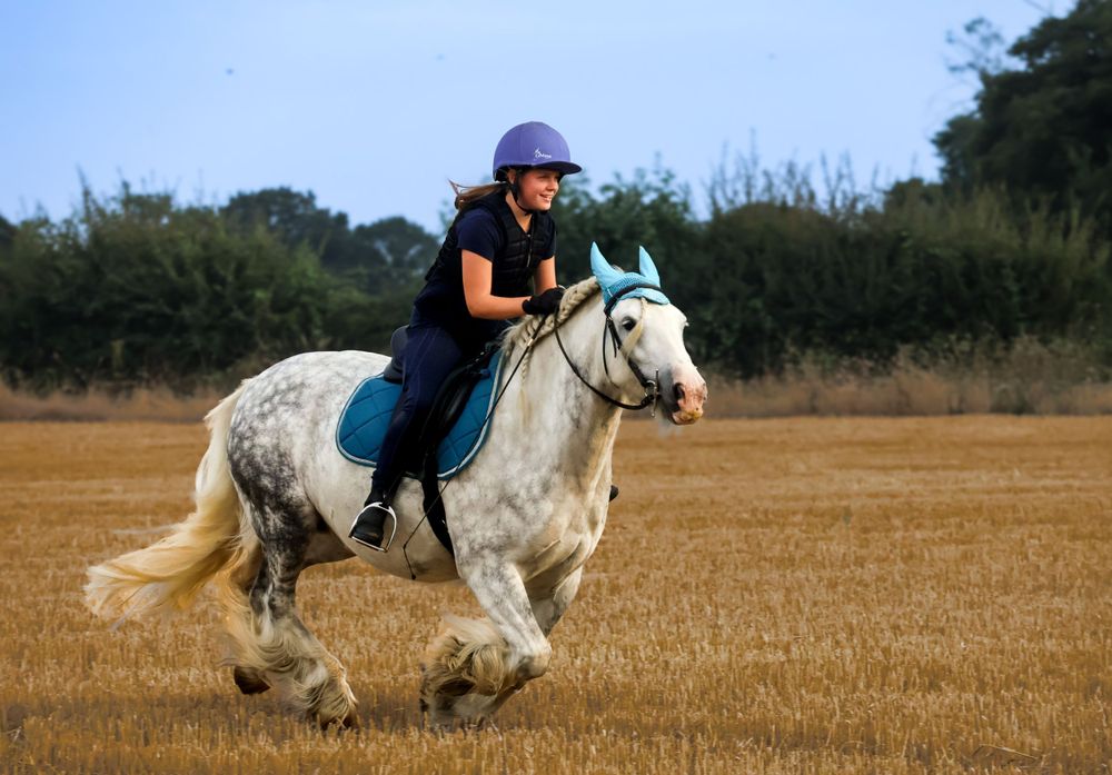 Equine shoots can be so much fun!