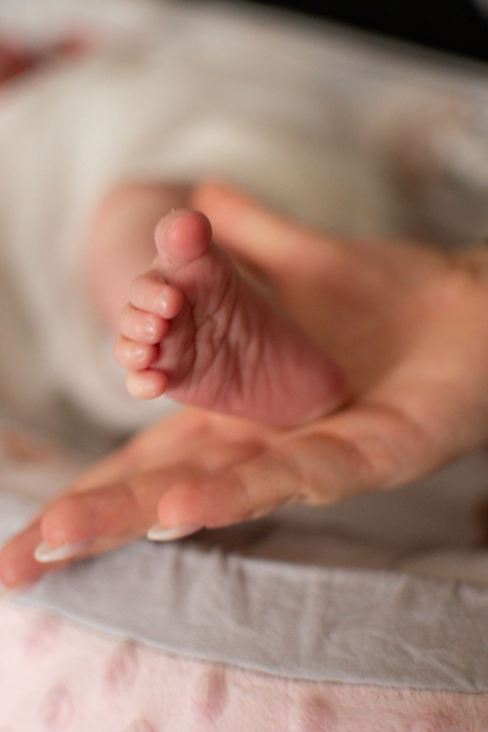Close-up of a newborn baby's tiny foot resting gently in an adult's hand on a soft blanket.