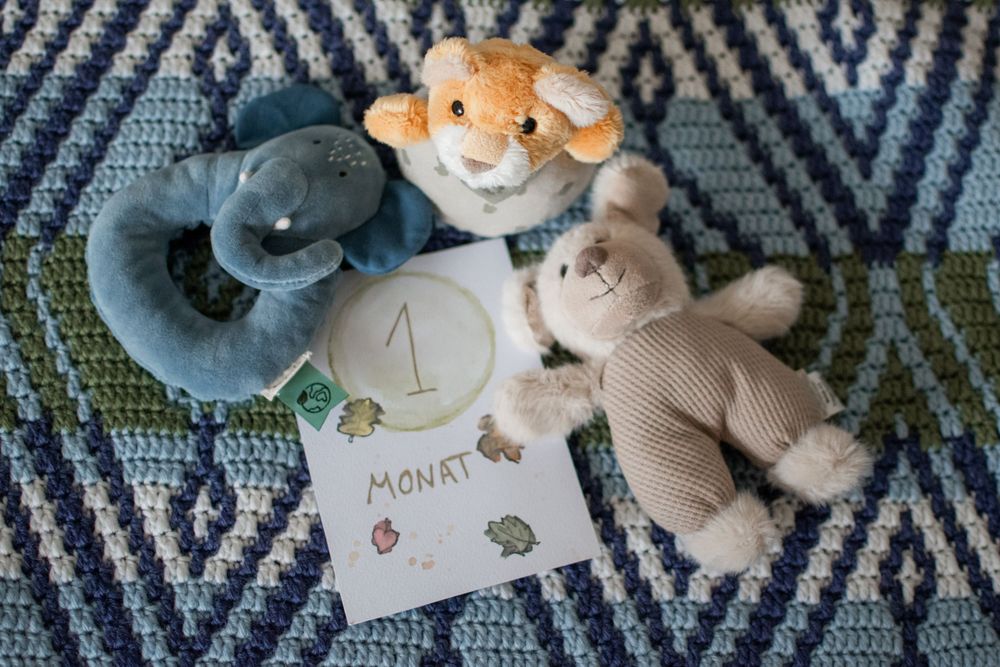 Three plush baby toys including an elephant, lamb and lion arranged on a blue and white chevron patterned blanket with a month marker.