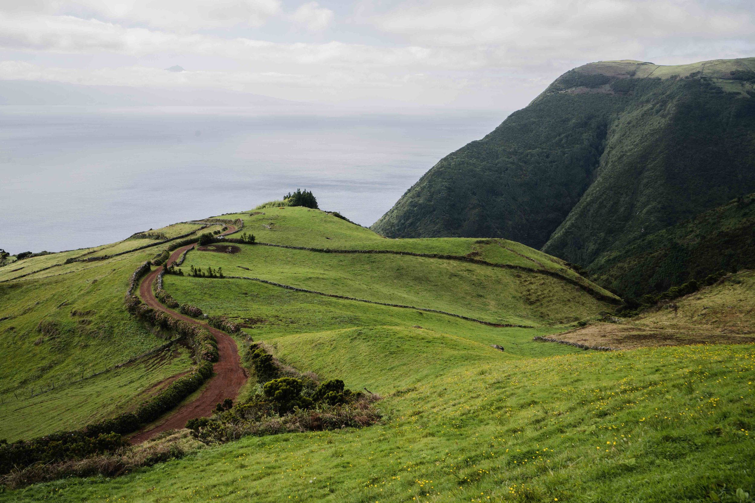 Winding dirt path along green coastal hills with dramatic ocean views.