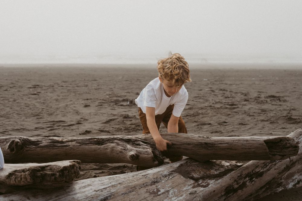 Child exploring driftwood on foggy beach shore.