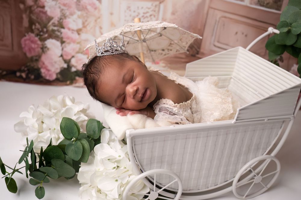 Series of artistic newborn portraits in white basket with pink roses and eucalyptus leaves as decorative elements.