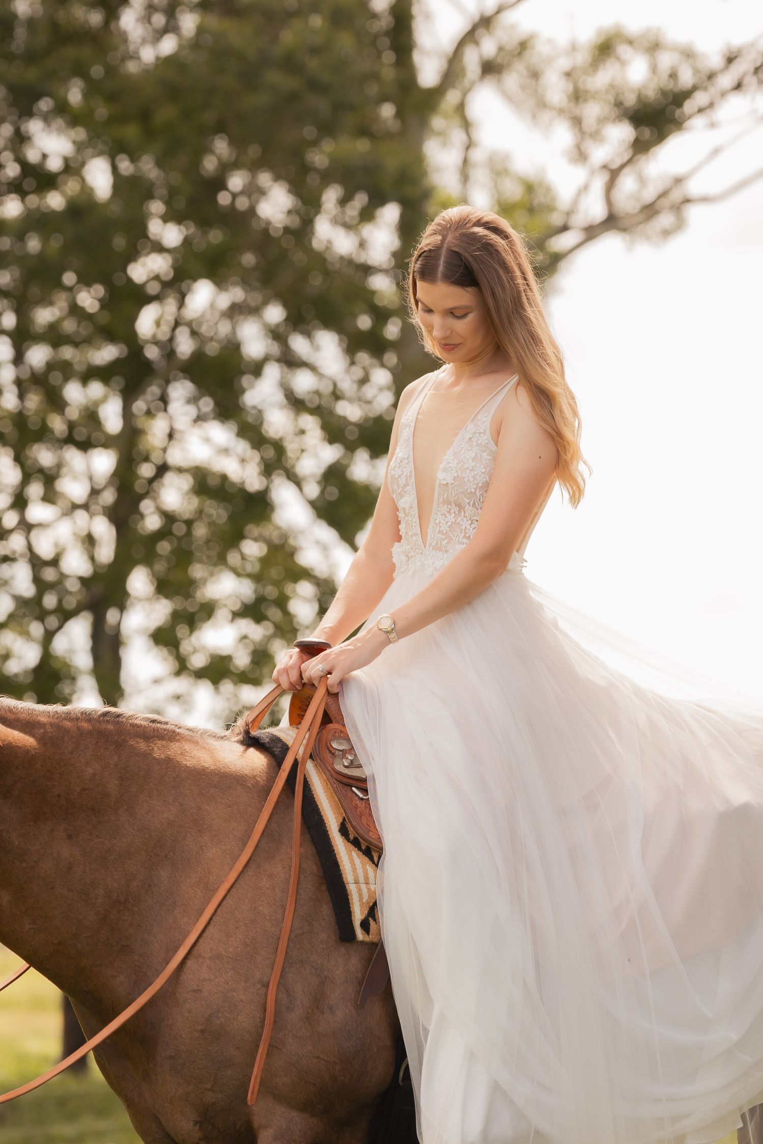 A bride in a flowing white dress sits sidesaddle on a brown horse against a sunlit outdoor backdrop. Maleny Sunshine Coast.